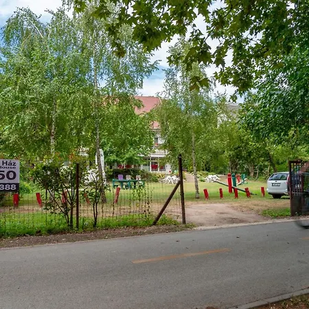 Sylvia Haz 티하니