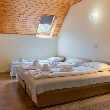 Sylvia Haz 게스트하우스