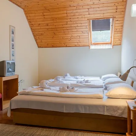 Sylvia Haz 게스트하우스 티하니