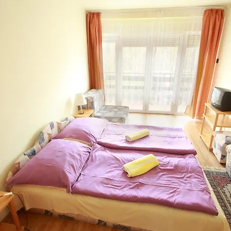 Sylvia Haz 게스트하우스