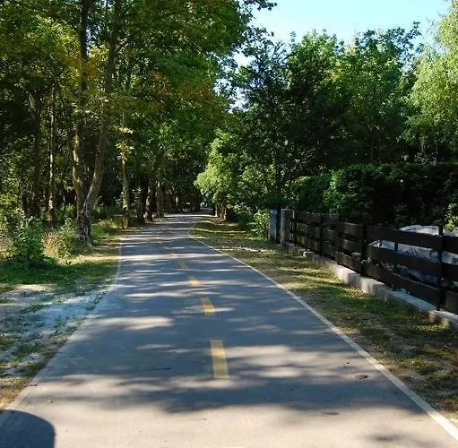 Sylvia Haz 3* טיהאני