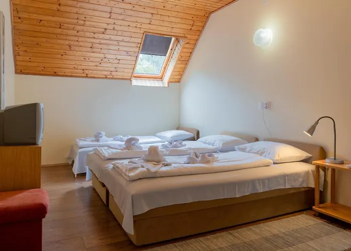 Sylvia Haz בית הארחה