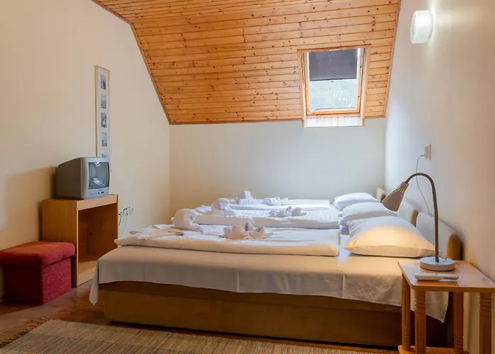 Sylvia Haz בית הארחה טיהאני